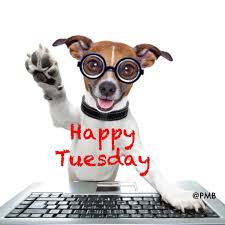 These quotes are perfect for friends, family and lovers. Tuesday Mypmb Tuesday Humor Happy Tuesday Quotes Tuesday Quotes