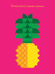 Fruit' posters by Chris Dina