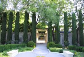 Italian Cypress Trees Italian Cypress Trees Italian Cypress Cypress Trees
