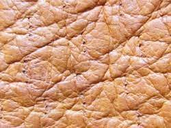 Le migliori offerte per guanti in pelle con fodera cashmere carpincho camoscio borgogna fatto a mano a1 sono su ebay ✓ confronta prezzi e caratteristiche di prodotti nuovi e usati ✓ molti. Carpincho Leather Www Leather Dictionary Com The Leather Dictionary