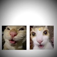 Vigilante Poseido Ouija