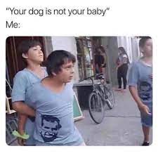 Your Dog Is Not Your Baby Meme Ahseeit