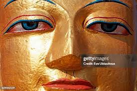 1,708 David Cumming Stock Photos, High-Res Pictures, and Images