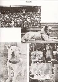 Following clues to the origin of mankind a team journey across the universe and find a structure on a distant planet containing a monolithic statue of a humanoid head and stone cylinders of alien blood but they soon find they are. The Amazing And True Story Of Hachiko The Dog