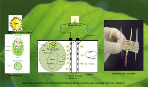 Maybe you would like to learn more about one of these? Micro Photosynthetic Power Cells May Be The Green Energy Source For The Next Generation