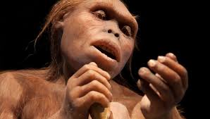 Lucy's Hands May Have Been Capable Of Using Tools 3.2 Million Years Ago