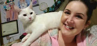 Lost indoor cat in Summerville, last seen February 15