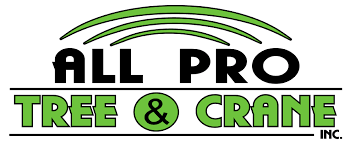 When you need professional tree services, bank on the team at allen's tree service to get the job done right! All Pro Tree And Crane Inc Excellence In Tree Service