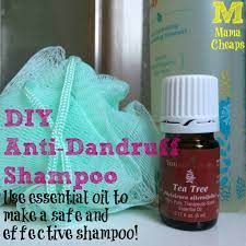 Diy Anti Dandruff Shampoo With Essential Oil Mama Cheaps Anti Dandruff Shampoo Essential Oil Shampoo Oils For Dandruff
