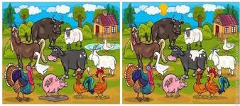 Close Or Esc Key In 2020 Learning Quotes Image Different