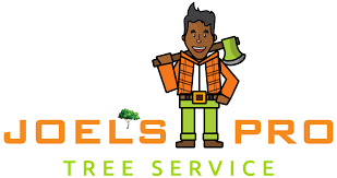 Maybe you would like to learn more about one of these? Joel S Pro Tree Service In Beavercreek Ohio Earns Another 5 Star Customer Review
