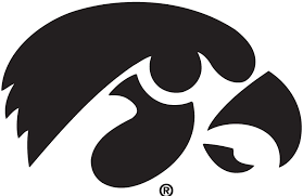 Iowa Hawkeyes Alternate Logo Iowa Hawkeyes Diy Iowa Hawkeyes Hawkeyes