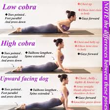 Pin By Inna Alex On Zdorove Yoga Benefits Easy Yoga Workouts Ashtanga Yoga