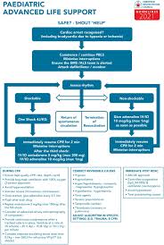 There are some fine additions into. European Resuscitation Council Guidelines 2021 Paediatric Life Support Resuscitation