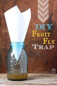 Get Rid Of Fruit Flies Diy Fruit Fly Trap Diy Fruit Fly Trap Fruit Fly Trap Fruit Flies