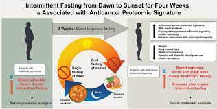 Intermittent Fasting From Dawn To Sunset For Four Consecutive Weeks Induces Anticancer Serum Proteome Response And Improves Metabolic Syndrome Scientific Reports