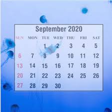 Cute September 2020 Calendar Online Schedule Builder Printable Calendar Time Management Software Effective Time Management Calendar