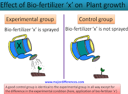 5 Differences Between Control Group And Experimental Group Md Control Experiments Variables