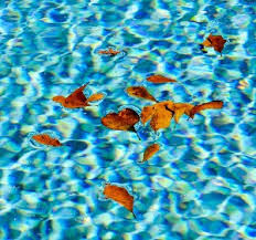 Comment Personnaliser Le Fond De La Piscine