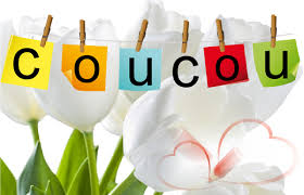 Résultat de recherche d'images pour "coucou"