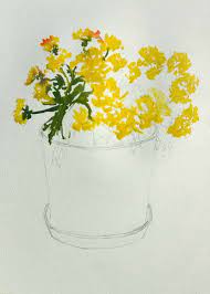 Watercolor Painting Chrysanthemums Painting With Watercolors Flower Drawing Chrysanthemum Painting Floral Watercolor