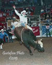 Check spelling or type a new query. 65 Lane Frost Ideas Lane Frost Bull Riders Bull Riding