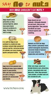 We did not find results for: Are Walnuts Poisonous To Dogs Cheap Buy Online