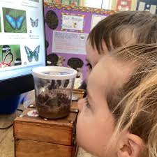 Vicky Harrison (@Vickycarl)