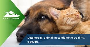 L'esigenza dell'espletamento dei bisogni fisiologici dei cani d'affezione e quello dei proprietari dei beni che ne vengono imbrattati vengono a scontrarsi, ancor quando ci si trova all'interno di un condominio. Il Proprietario Di Animali In Condominio Diritti E Doveri