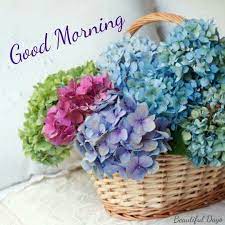 Pin By Claudia Gonzalez Posada On Good Morning Beautiful Hydrangeas Flower Arrangements Hydrangea Flower