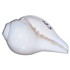 Which Is The Best Time To Blow A Pearl Conch (Moti Shankha)? - Quora