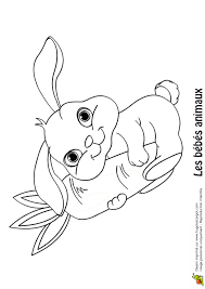 Mais ça n'est pas forcément le plus important, car quand il s'agit d'une recette de cuisine, il vaut mieux que ce soit bon ! Coloriage Bebe Lapin