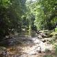 Trinidad: Rainforest Hike to Avocat Waterfall event image