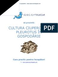 Tehnologii de cultivare a legumelor, analize statistice *free* shipping on qualifying offers. Cultura Buretilor Pleurotus In Gospodarie Ghid Pentru Incepatori