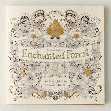 Raoni, the symbol of amazon forest ! Adult Coloring Books Come To Coco