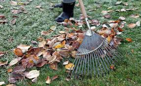 In höheren regionen kommt der erste. Garten Winterfest Machen Eine Checkliste Mein Schoner Garten