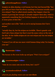 Cats Can See Things That Are Invisible To Humans