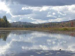 After Reorganization Adirondack Nature Conservancy Chapter Has New Leader Ncpr News