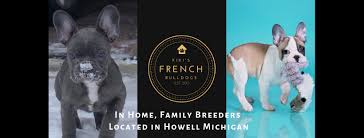 Learn more about nala today. Kiki S French Bulldogs Home Facebook