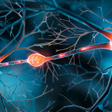 Image result for Sodium Channel Blocker