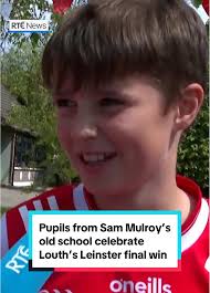 Gus Mccarthy Leinster