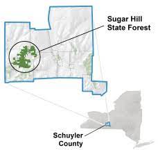 This section of the finger lakes trail / north country trail begins off of sugar hill road. Sugar Hill State Forest Nys Dept Of Environmental Conservation