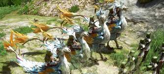 How to get the grey riding camel rare mount. Why Don T We Have Mounts Blackdesertonline