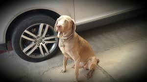 Chris Coronel (@kikisonline) • Instagram photos and videos