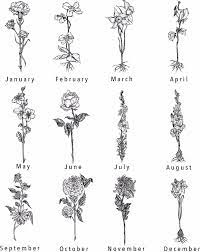 In the same manner as zodiac signs, birth flowers are assigned to months and are attributed to specific characteristics and personality traits. Birth Flower Tattoo Hand Drawn Birth Flower Tattoos 1 Jan U2022u00a0carnation F Birth Drawn Birth Flower Tattoos Flower Tattoo Hand Larkspur Tattoo