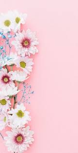 52 Ideas Flowers Background Wallpapers Pink Wall Papers For 2019 Flower Background Wallpaper Flower Wallpaper Pink Wallpaper Iphone