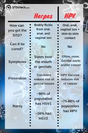 Image result for genital herpes