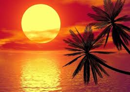 Das wandtattoo sonnenuntergang am meer ist eine wunderschöne dekoidee, die eine traumhafte unsere wandtattoos lassen raum für ideen: Xxl Hochglanz Poster 100 X 70cm Romantischer Sonnenuntergang Am Meer Mit Palmen Ebay Sonnenuntergang Meer Aquarell Sonnenuntergang Zeichnung Sonnenuntergang