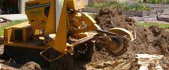I know ttwt has a stump blaster by baumalight. Stump Removal Cost Pricing In 2021 Jim S Trees