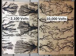Lichtenberg Fractal Burning Art Start To Finish Twilight Mist Youtube Wood Burning Techniques Wood Burning Art Wood Art Projects